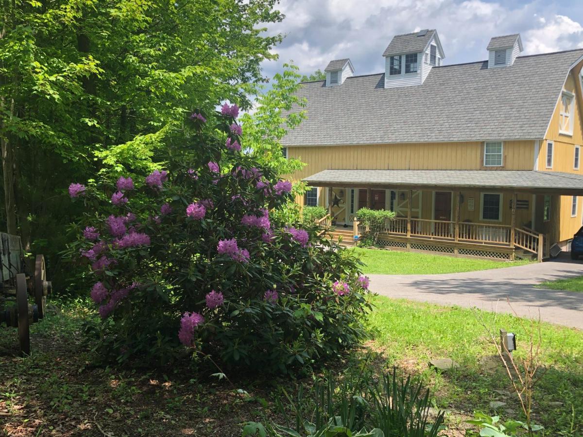 Yellow Barn Estate Freeville 外观 照片